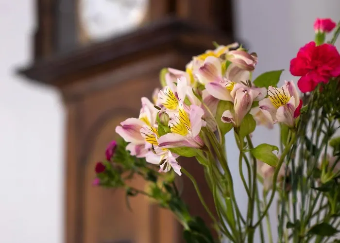 Casa De Torres Tatil Evi